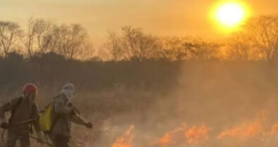 Brigadistas tentam controlar fogo que já dura 15 dias na Chapada das Mesas