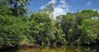 FestUna: festival mescla cultura, meio ambiente e serviços sociais em Morros, no Maranhão