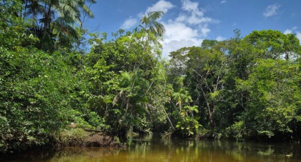 FestUna: festival mescla cultura, meio ambiente e serviços sociais em Morros, no Maranhão