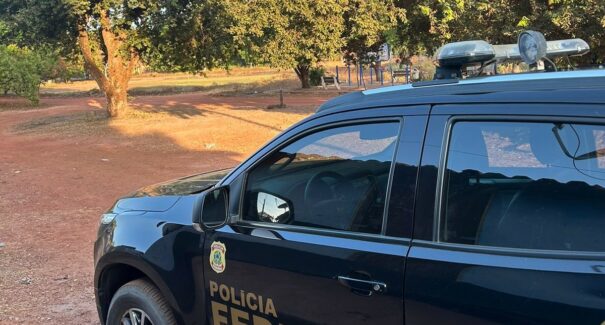 Operação investiga esquema criminoso que desmatou área equivalente a 100 campos de futebol no MA
