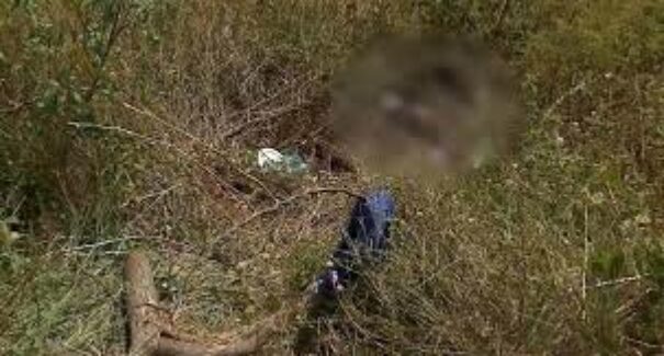 Corpo em estado avançado de decomposição é encontrado em matagal no bairro do Calhau, em São Luís