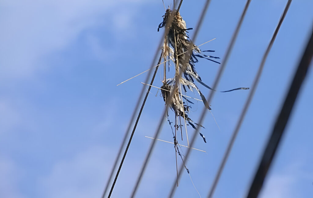 300 ocorrências de pipas na rede elétrica foram registradas no Maranhão em julho