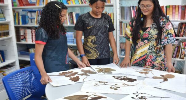 Professora maranhense conquista prêmio MapBiomas com projeto inovador na área da biologia