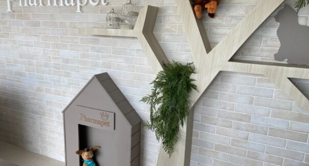 Diversificação de serviços e produtos oferecidos agitam mercado pet