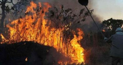 Fumaça da Amazônia atinge o DF e outros estados, incluindo o Maranhão