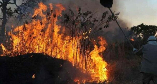 Fumaça da Amazônia atinge o DF e outros estados, incluindo o Maranhão