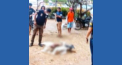 Icrim confirma que restos mortais encontrados no Terminal da Praia Grande são de origem animal