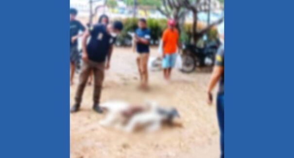 Icrim confirma que restos mortais encontrados no Terminal da Praia Grande são de origem animal