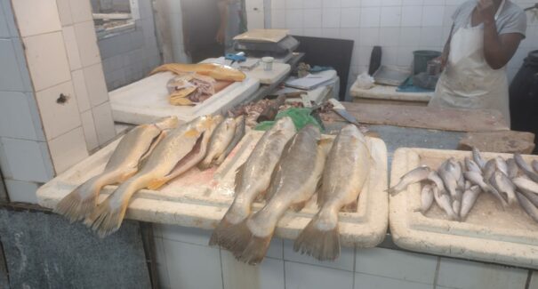 Escassez de pescados eleva os preços na Ilha