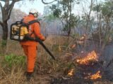 Bombeiros registram mais de 9 mil focos de incêndio e intensificam ações no sul do estado