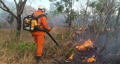 Bombeiros registram mais de 9 mil focos de incêndio e intensificam ações no sul do estado