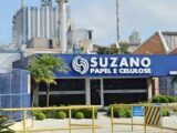 Suzano abre inscrições para o Programa de Estágio no Maranhão