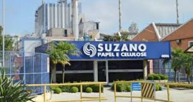 Suzano abre inscrições para o Programa de Estágio no Maranhão