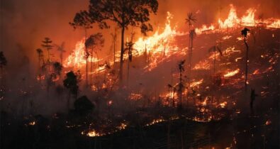 Fogo na Amazônia: o avanço do agronegócio e a destruição do bioma