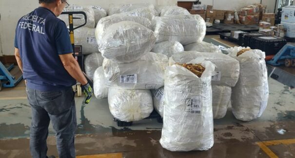 Receita Federal apreende mais de uma tonelada de bexiga natatória no aeroporto de São Luís