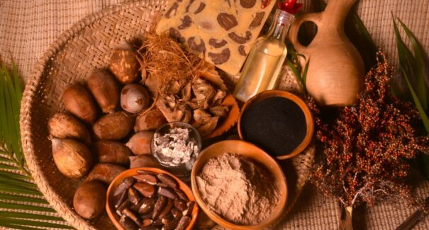 Empresa maranhense apresenta produtos à base de babaçu em feira internacional de Paris