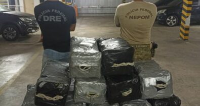 PF apreende meia tonelada de cocaína em navio, em São Luís