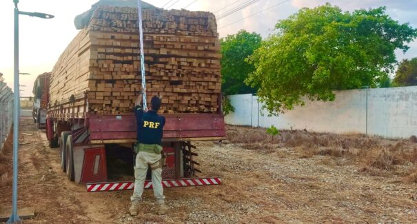 PRF e PMMA apreendem quase 100m³ de madeira ilegal em operação na BR-230
