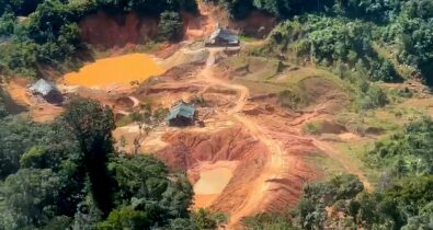 Polícia Rodoviária Federal registra aumento nos crimes ambientais na Amazônia Legal