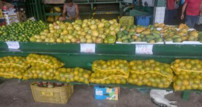 Seca e queimadas ameaçam mercado hortifrutigranjeiro de São Luís