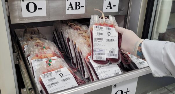 Dia Nacional do Doador de Sangue: a importância de doações regulares