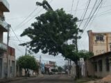 Você sabe de quem é a responsabilidade pela iluminação pública e poda de árvores?