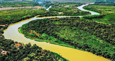 Dia do Pantanal: bioma brasileiro  vem sofrendo com incêndios e queimadas