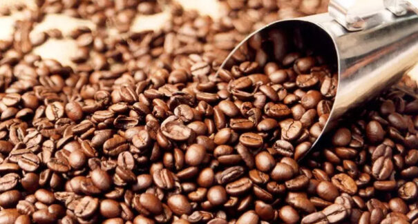 Brasil atinge recorde de exportação de café em 2024
