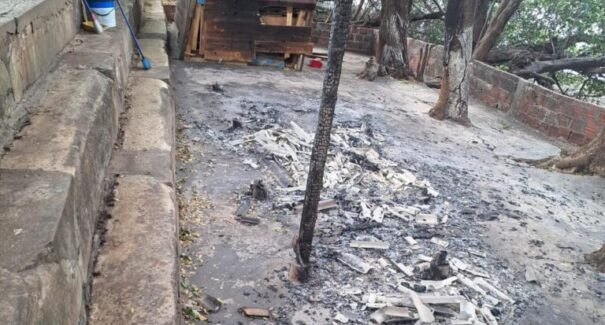 Incêndio criminoso destrói abrigo de animais e deixa dois gatos mortos no bairro Areinha