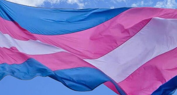 Justiça maranhense concede primeira guarda de criança a mulher trans