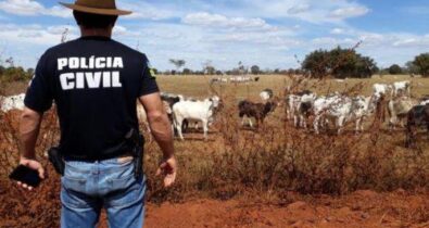 Roubo de gado se intensifica no interior do Maranhão