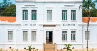 Instituto Butantan pede à Anvisa registro da sua vacina contra a dengue; 1ª do mundo em dose única