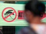 Brasil registra aumento recorde de casos e mortes por dengue em 2024