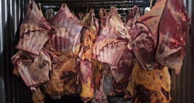 Empresa vendeu 800 toneladas de carne para consumo que esteve submersa na enchente do RS