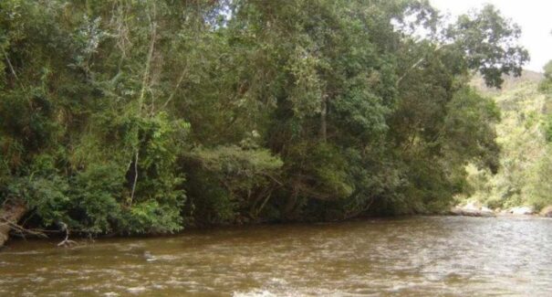 Mãe é presa após confessar que jogou sua filha de 11 meses em rio no interior de Minas Gerais