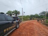 PF deflagra operação contra tráfico de drogas no interior do Maranhão