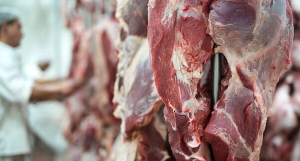 Alimentos impulsionam economia do Maranhão