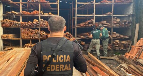 Operação Falsa Origem: PF desarticula fraudes e crimes ambientais