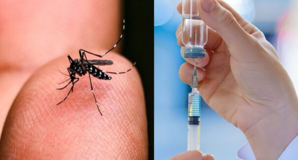 Governo federal anuncia criação de vacina contra dengue 100% nacional
