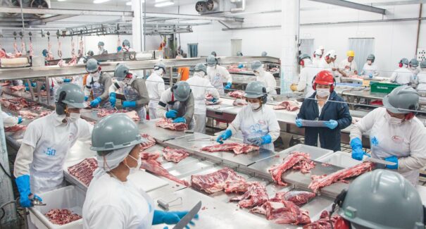 Dia do Agro: Fribal lidera inovação e sustentabilidade no agronegócio do nordeste