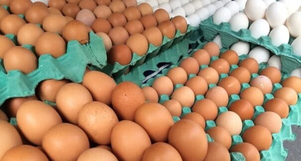 Exigência da data de validade em cascas de ovos é suspensa pelo Ministério da Agricultura
