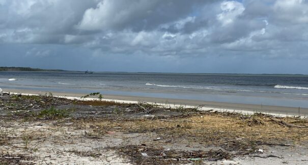Instituto lança projeto para sensibilização ambiental e combate ao lixo oceânico em Carutapera