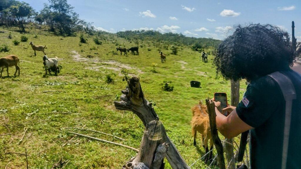 Governo impulsiona regularização fundiária e amplia emissão de títulos de propriedades (Foto: Divulgação)