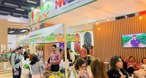 Maranhão marca presença na Fruit Attraction 2025
