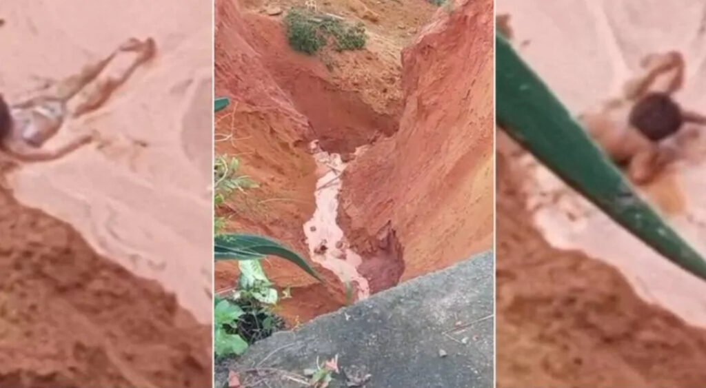 Imagem: Reprodução