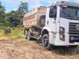 Motorista e empresário são presos por crime ambiental na Zona Rural de São Luís