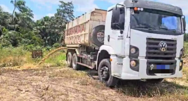 Motorista e empresário são presos por crime ambiental na Zona Rural de São Luís