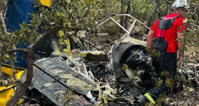 Avião monomotor cai e piloto morre carbonizado no sul do MA