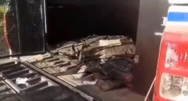 PM apreende mais de 30 placas de coletes balísticos em São Luís