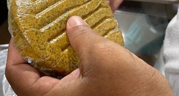 Pesquisadores maranhenses usam o coco babaçu para criar alimento similar a hambúrguer